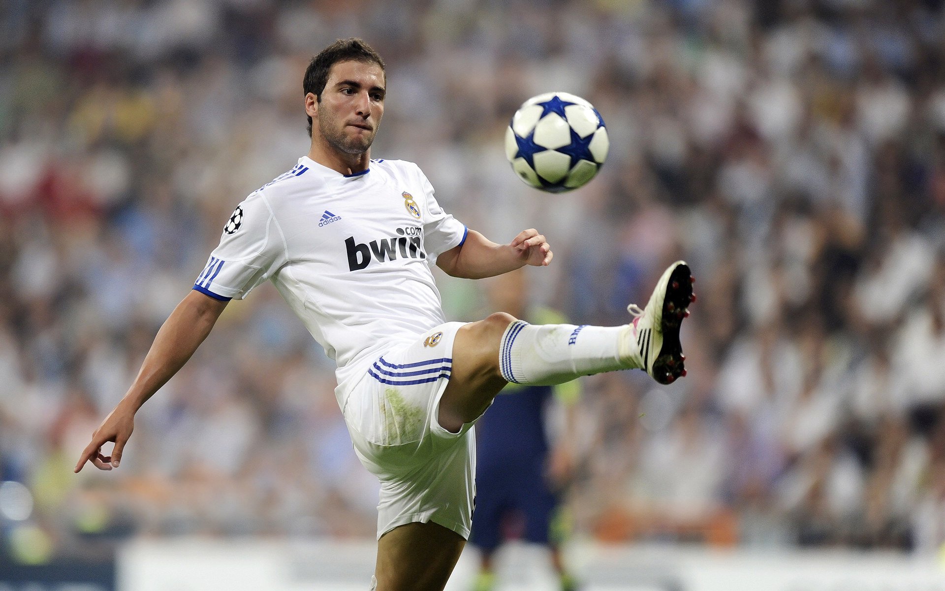 墨西哥的赛场狂欢文化，墨西哥狂欢节介绍